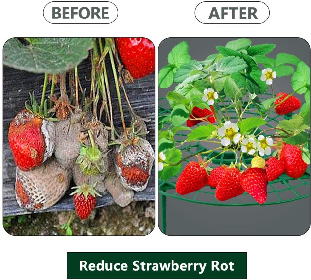 10 Packs Strawberry Plant Support Growing Frame, Keeping Fruit Elevated to Avoid Ground Rot and Dirt