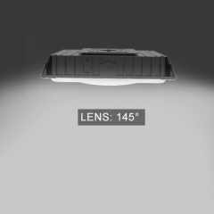 35W Canopy Light