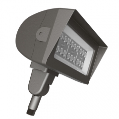 50W Flood Light