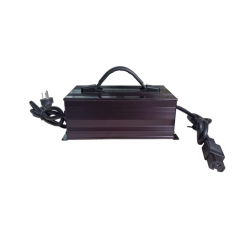 Lithium Battery High Frequency Intelligent Charger 900W
