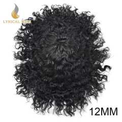 LyricalHair  Afro Toupee For Men African Curly Monofilament Durable Hair System Tape Around African American Black Unit 100% Human Hair Medium Density AFRO AAA1