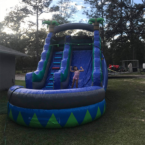 USA. CLIENT Palm Tree water slide with pool