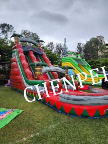 Kenya Red Palm tree inflatable water slide