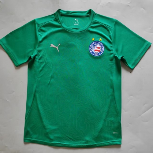 2025/26 EC Bahia Goalkeeper Green Thailand Soccer Jersey AAA-908