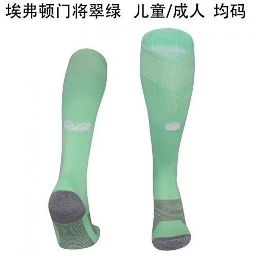 2025/26 Everton Goalkeeper Green Adult/Kids Thailand Soccer Socks