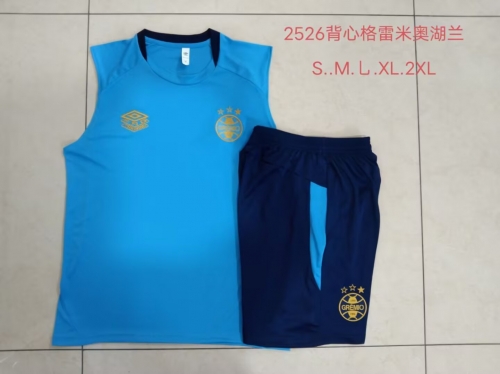 2025/26 Grêmio FBPA Lake Blue Soccer Vest Suit-815