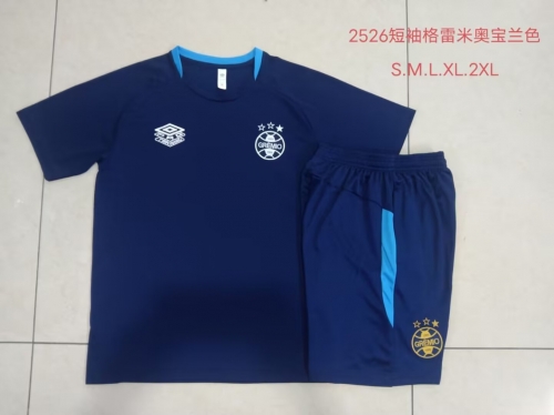 2025/26 Grêmio FBPA Royal Blue Shorts-Sleeve Soccer Tracksuit Uniform-815