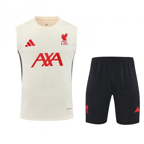 2025/26 Liverpool Yellow Thailand Soccer Training Vest Set-418