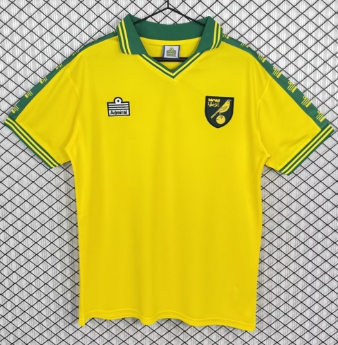 76/81 Retro Version Norwich City Home Yellow Thailand Soccer Jersey AAA-503