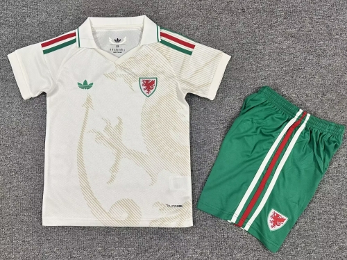 Kids 2026/27 Wales Away Rice White Kids/Youth Soccer Uniform-1040/208