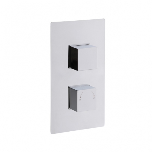 Square Concealed Twin Thermostatic Shower  Valve One Outlets