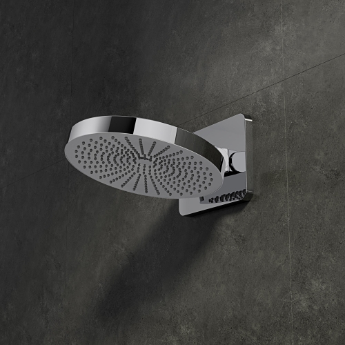 250mm Wall mounted rain shower head