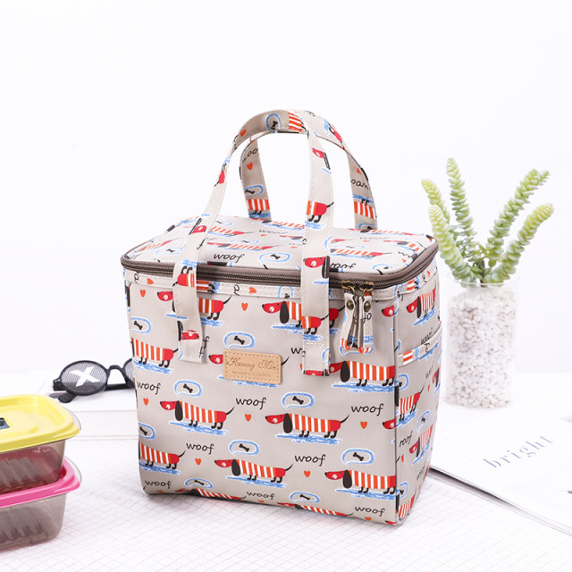 Stylish Korean Style Outdoor Thermal Insulation Bag Lunch Cooler Bags for College Girls