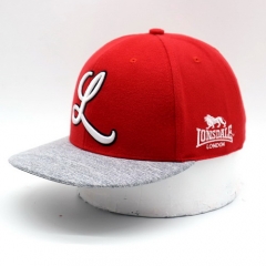 Haven Brushed Snapback Caps