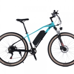 MOUNTAIN E-BIKE ECO Cruiser