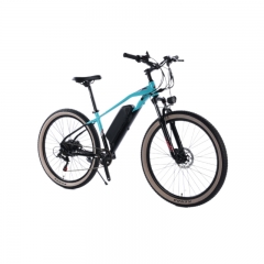 MOUNTAIN E-BIKE ECO Cruiser