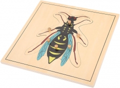蒙特梭利材料教育工具昆虫黄蜂拼图学前早期蒙特梭利幼儿玩具