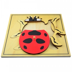 Montessori Matériaux Outils éducatifs Insecte Coccinelle Puzzle préscolaire Early Montessori Jouets pour les tout-petits