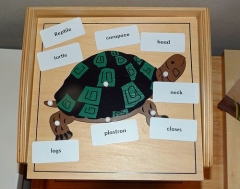 蒙特梭利材料教育工具动物海龟拼图学前早期蒙特梭利幼儿玩具