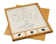 Montessori Material Botany Puzzle Conjunto de atividades de aprendizagem brinquedos educativos para crianças