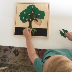 Puzzle en bois pour bébé, jeux de jouets en bois