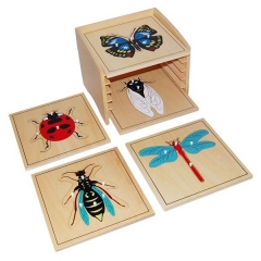 Montessori Matériaux Outils éducatifs Insecte Coccinelle Puzzle préscolaire Early Montessori Jouets pour les tout-petits