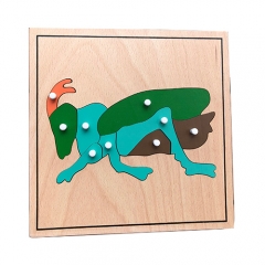 蒙特梭利材料教育工具昆虫蟋蟀拼图学前早期蒙特梭利幼儿玩具