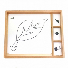 Montessori Material Botany Puzzle Conjunto de atividades de aprendizagem brinquedos educativos para crianças