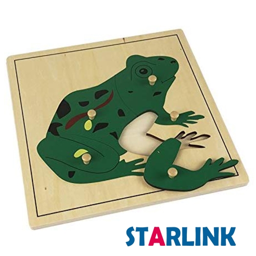 Montessori Matériaux Outils éducatifs Animal Frog Puzzle Jouets Montessori préscolaires pour les tout-petits