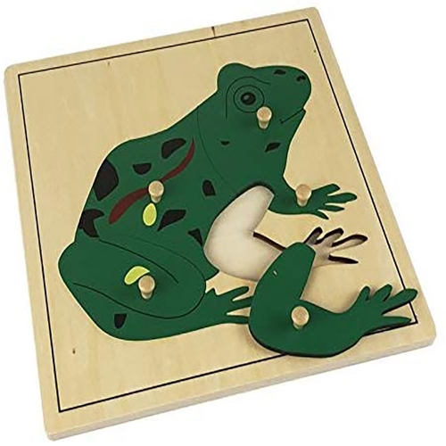 Wholesale Baby Wooden Toy Parts of Frog Puzzle Learning Kindergarten Montessori Materials Biology Jigsaw Puzzle Toy