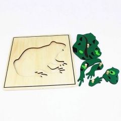 Wholesale Baby Wooden Toy Parts of Frog Puzzle Learning Kindergarten Montessori Materials Biology Jigsaw Puzzle Toy
