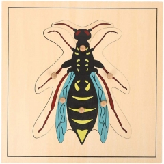 2022 High Quality Educational Montessori Material Montessori Wooden Wasp Puzzle Toys