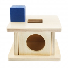 Satrlink Hot Sell Montessori Wooden Interesting Toys For Children Imbucare Box Suit