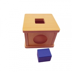 SatrLink Montessori Teaching Aids Early Education Wooden Toy Imbucare Box
