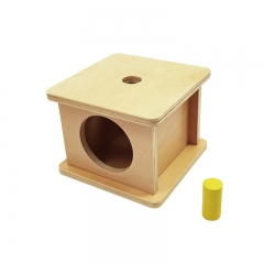 SatrLink Kindergarten Wooden Educational Montessori Teaching Aids Toys Imbucare Box