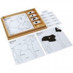 Montessori Educational Toy Plants Animals Card PVC Box Beech Wood Toys Animal Puzzle Activity Set