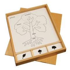 Montessori Biology Botany Materials Educational Nursery Wooden Toy Botany Puzzle Activity Set