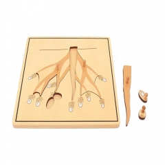 Plywood Montessori Material Set Square Root Puzzle Jigsaw Wooden Toys