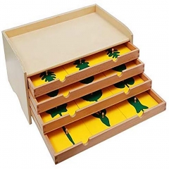 Montessori Set Hot Sale Learning Toys Montessori Materials Set Montessori Material Botany Cabinet