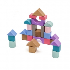 Montessori Toy Wooden Building Blocks Early Learning Toys Color Shape Educational Kids Stacked Blocks