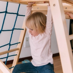 Kids Montessori Wooden Indoor Climbing Gym Frame Preschool Furniture Climbing Toys Kids Climbing Set