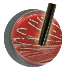 AZ 8695 Waterproof IP65 Long Tube Flat Surface Electrode pH Pen