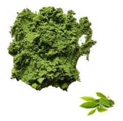 Poudre de Matcha de cérémonie biologique en vrac