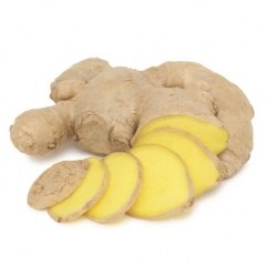 Ginger Root Extract 5% Gingerol Powder