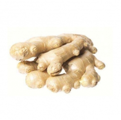 Ginger Essential Oil Bulk Wholesale