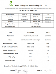 Steam Distillation Premium Quality Ginger Essential Oil at Wholesale Prices