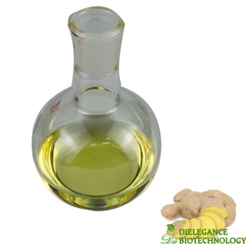 Ginger Essential Oil Bulk Wholesale