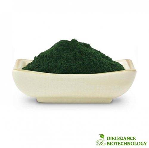 Bio Chlorella Pulver Groß