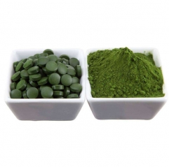 Wholesale Organic Spirulina Tablets