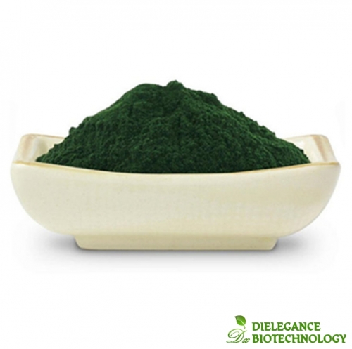 Bio Spirulina Pulver Groß